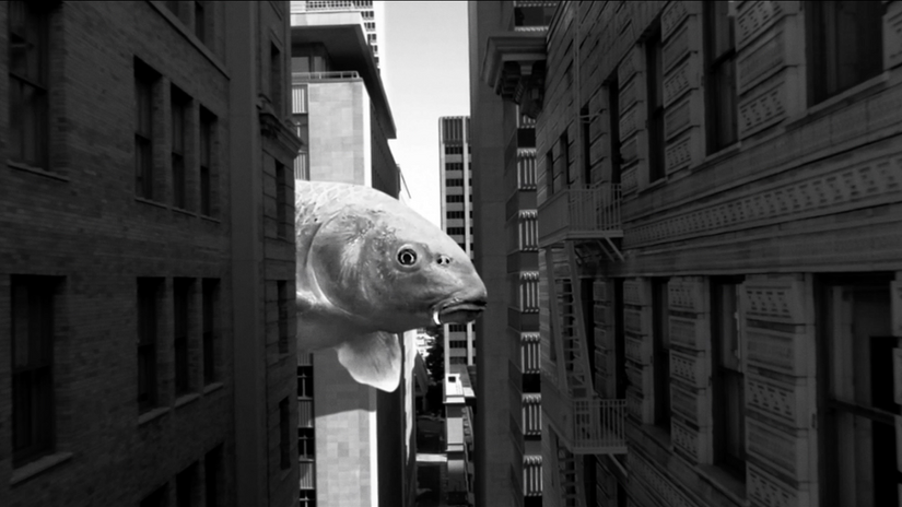 Bod | Fear (Music Video)